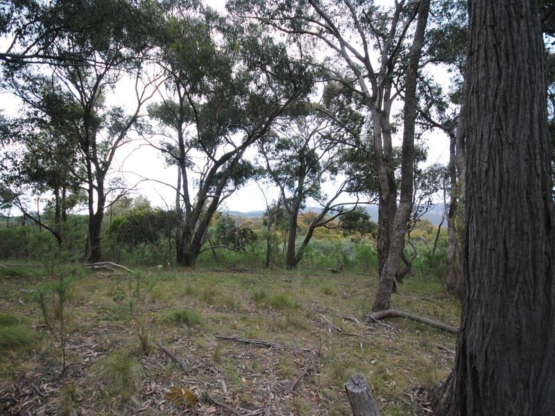 49 Clarries Track, Acheron VIC 3714