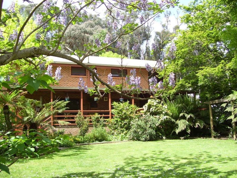 1112 Marysville-Buxton Road, Marysville VIC 3779