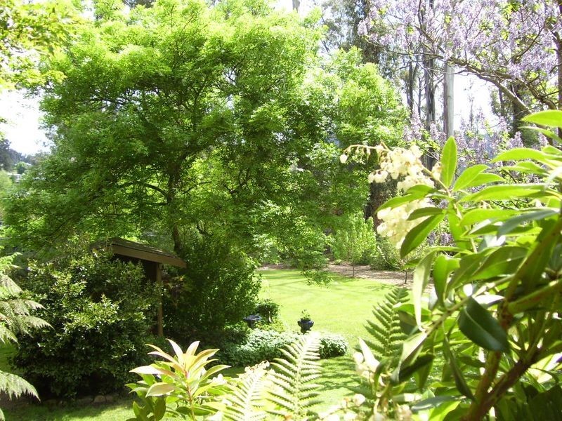 1112 Marysville-Buxton Road, Marysville VIC 3779