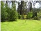 1112 Marysville-Buxton Road, Marysville VIC 3779