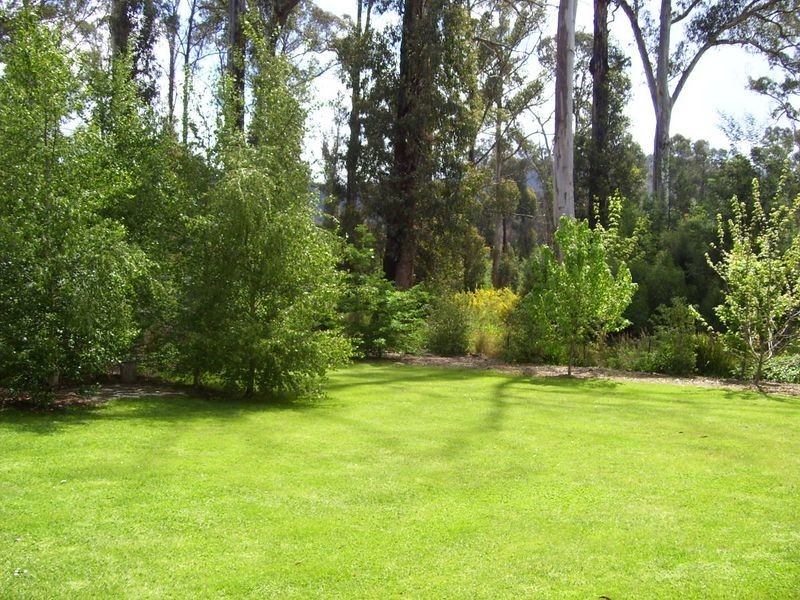 1112 Marysville-Buxton Road, Marysville VIC 3779