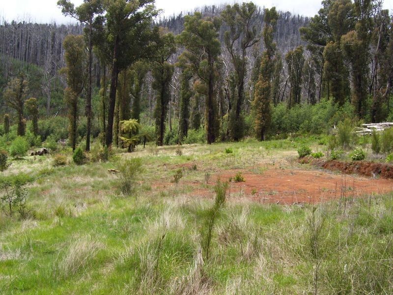 133 Falls Road, Marysville VIC 3779