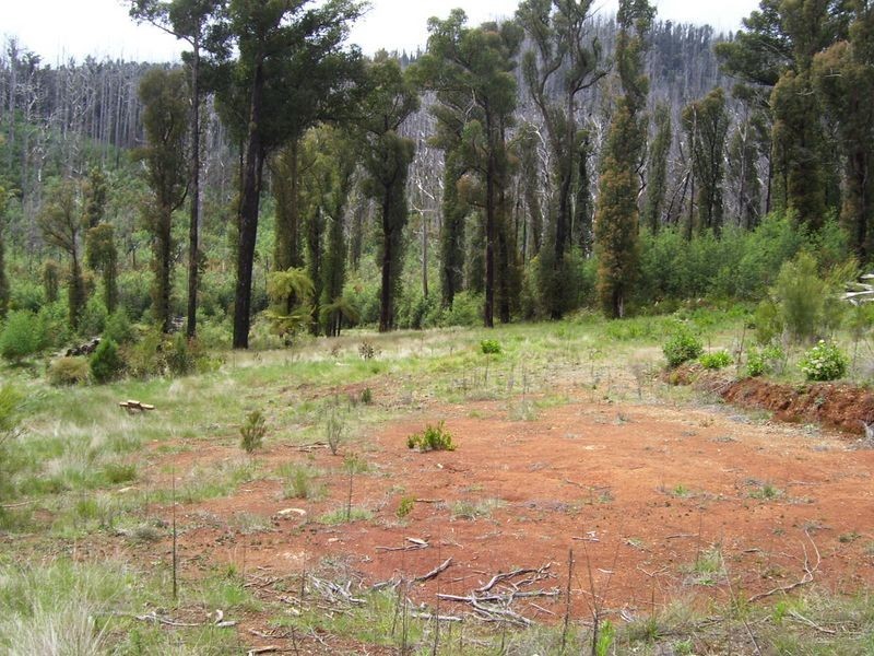 133 Falls Road, Marysville VIC 3779