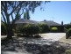 29 Albert Street, Alexandra VIC 3714
