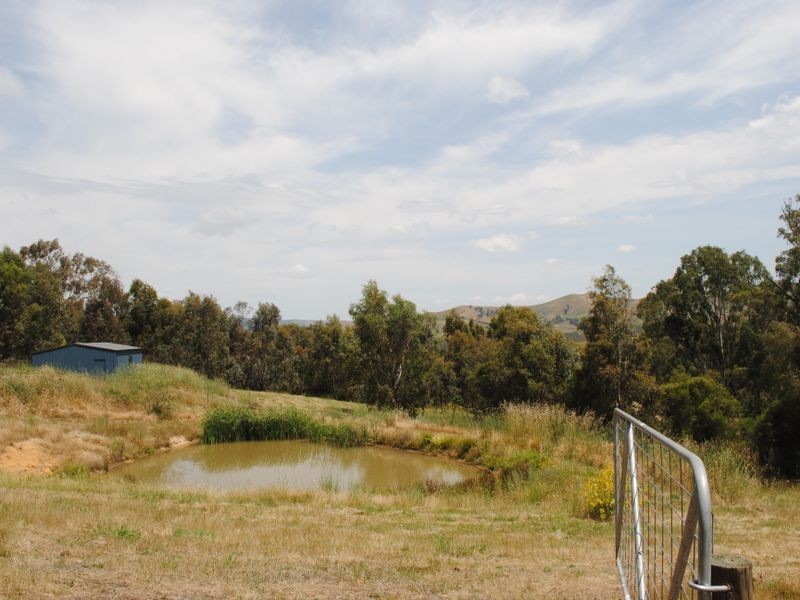 51 Jones Close, Alexandra VIC 3714