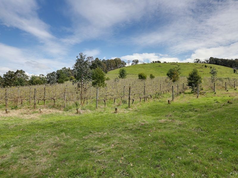 566 Crystal Creek Road, Alexandra VIC 3714