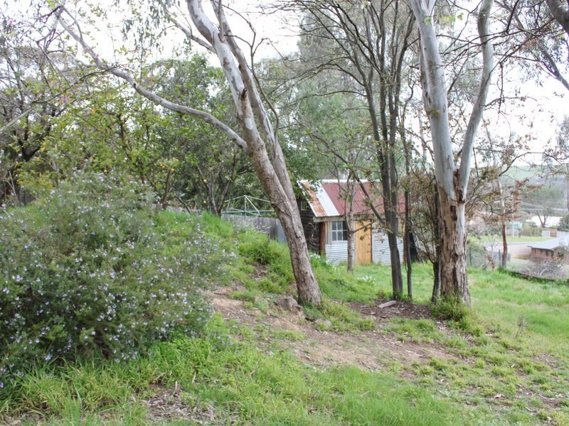 40 Myrtle Street, Alexandra VIC 3714