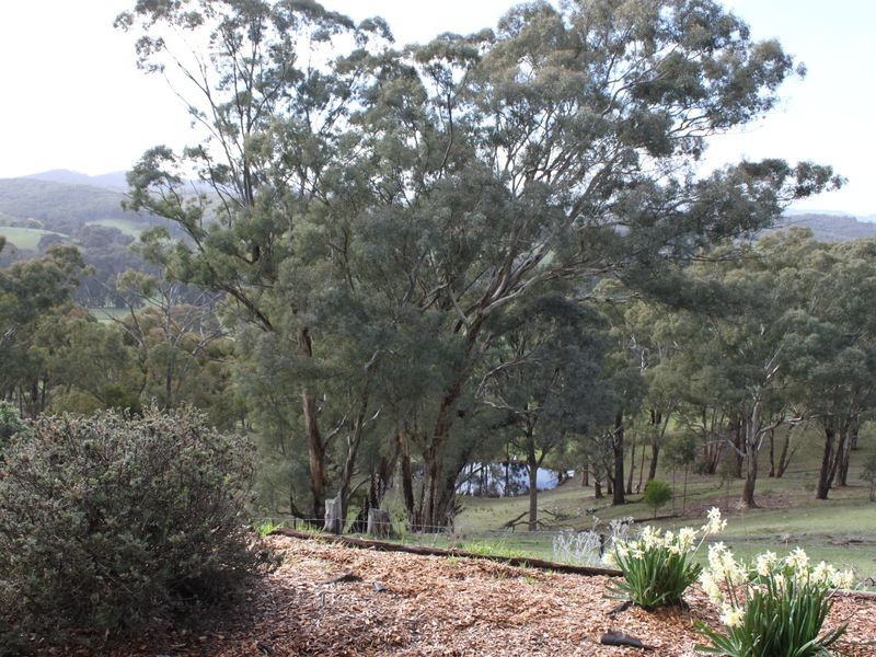 Shorts Road, Merton VIC 3715