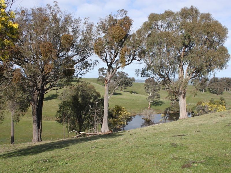 Shorts Road, Merton VIC 3715