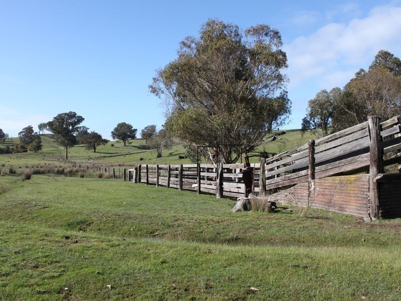 Shorts Road, Merton VIC 3715