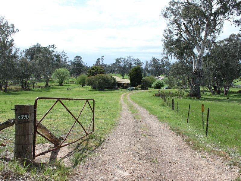 6390 Maroondah Highway, Yarck VIC 3719