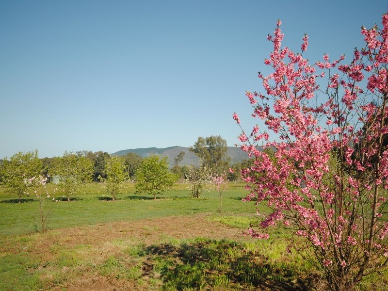 48 Yarck Village Place, Yarck VIC 3719