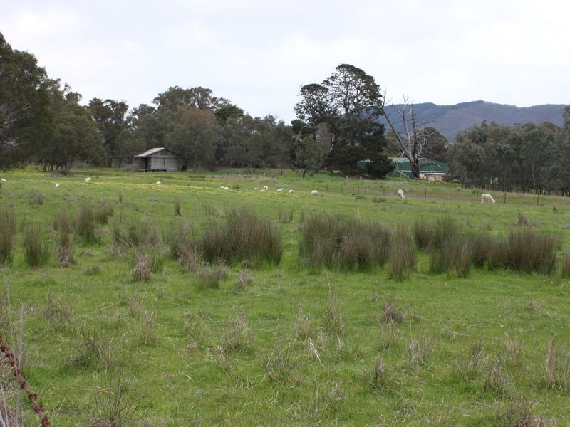 26 Yarck Village Place, Yarck VIC 3719