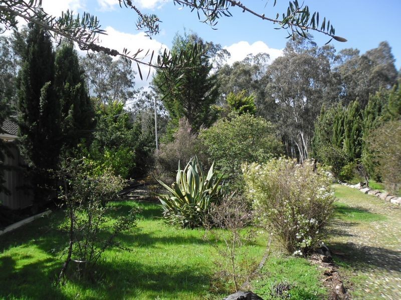 17 Park Avenue, Eildon VIC 3713