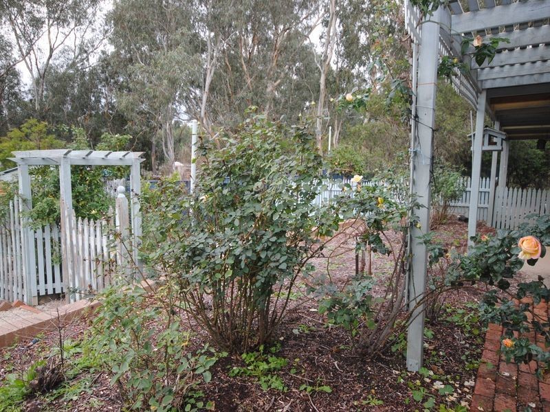 7 Wattleview Court, Alexandra VIC 3714