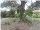1 Shaw Avenue, Eildon VIC 3713