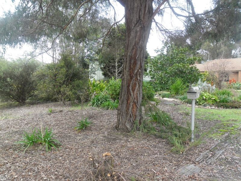 1 Shaw Avenue, Eildon VIC 3713