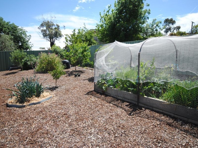 91 Webster Street, Alexandra VIC 3714