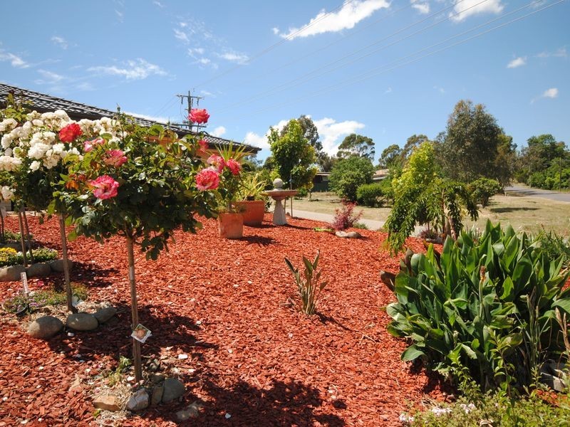 91 Webster Street, Alexandra VIC 3714