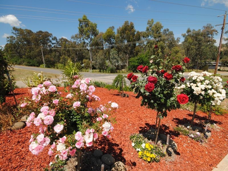 91 Webster Street, Alexandra VIC 3714