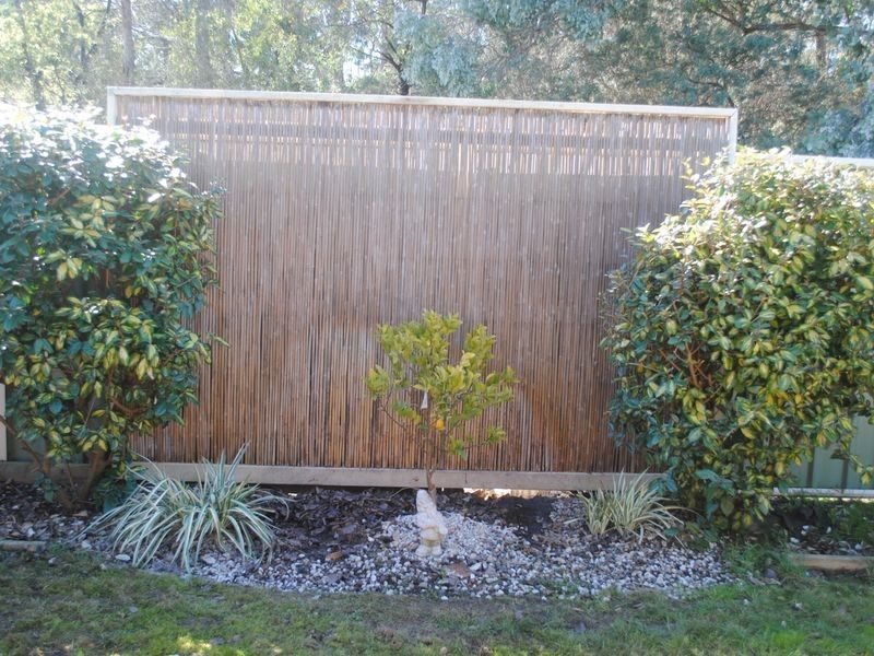 91 Webster Street, Alexandra VIC 3714