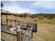 53 Stevensons Lane, Alexandra VIC 3714