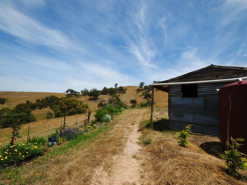 53 Stevensons Lane, Alexandra VIC 3714