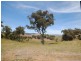 53 Stevensons Lane, Alexandra VIC 3714