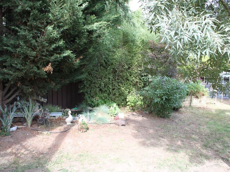 46 Webster Street, Alexandra VIC 3714
