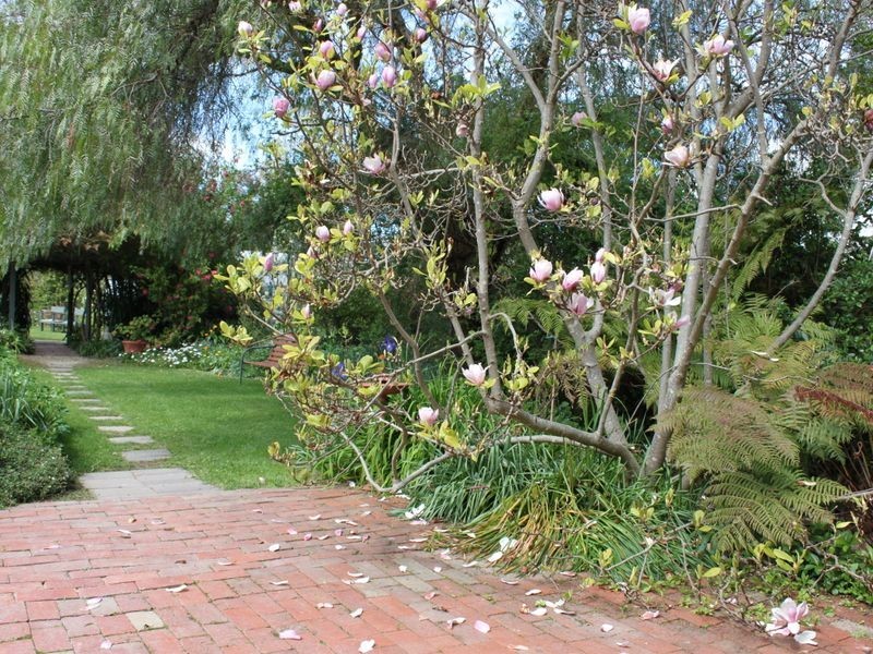 36 William Street, Alexandra VIC 3714