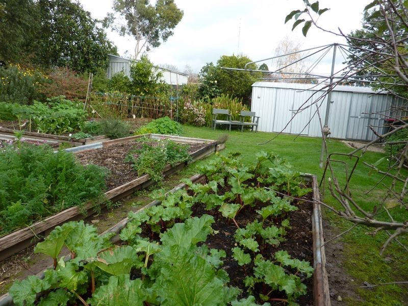 36 William Street, Alexandra VIC 3714