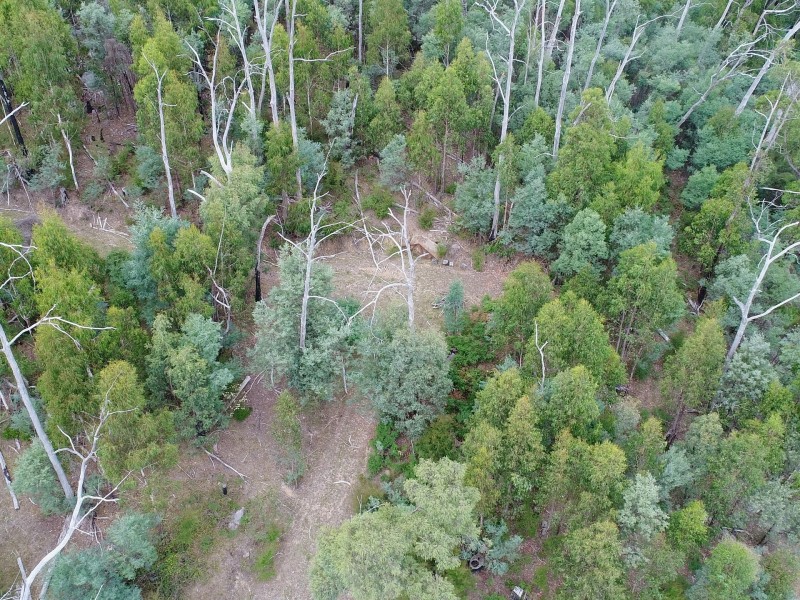 55 Ismay Wynd, Buxton VIC 3711