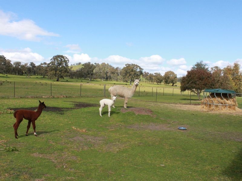 41 Yarck Village Place, Yarck VIC 3719