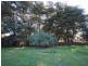 11 McGuigans Road, Kanumbra VIC 3719