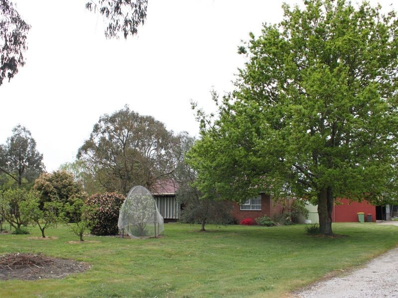 10 McColl Lane, Acheron VIC 3714