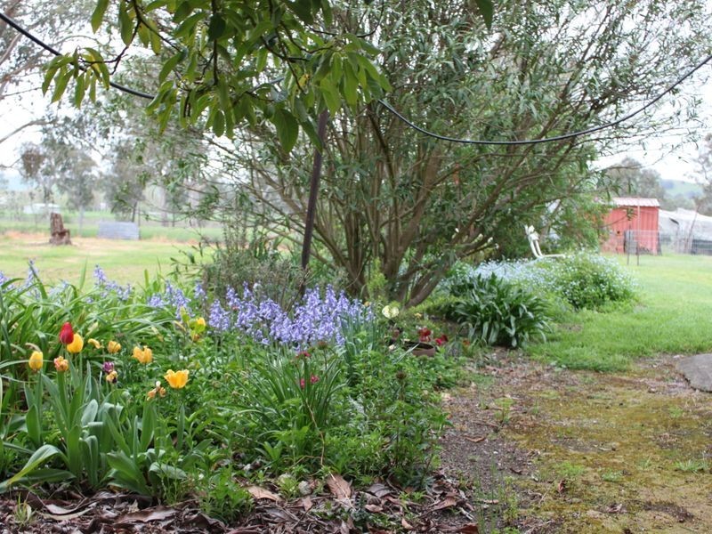 10 McColl Lane, Acheron VIC 3714