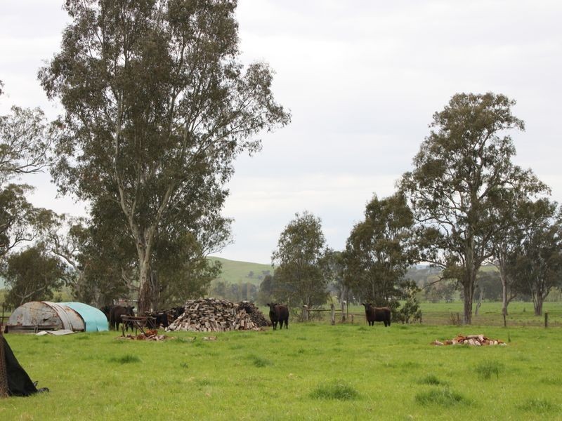 10 McColl Lane, Acheron VIC 3714