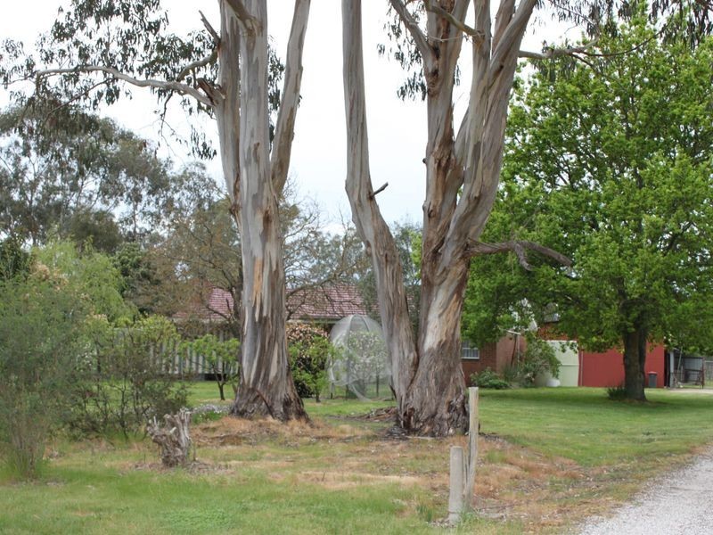 10 McColl Lane, Acheron VIC 3714