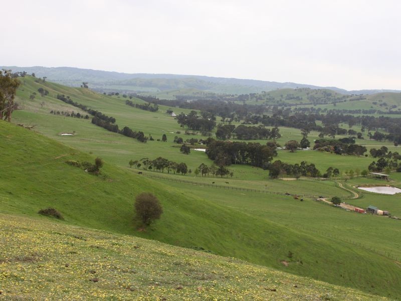 71 Moir Lane, Acheron VIC 3714