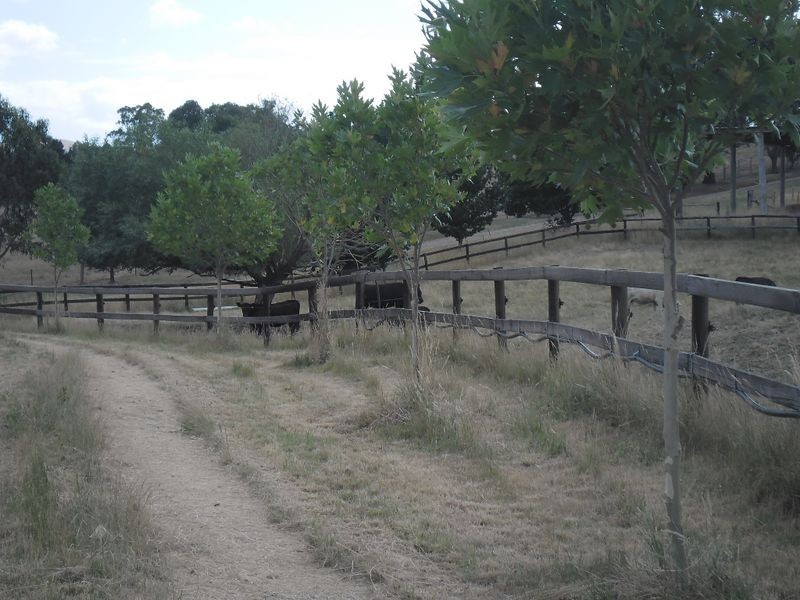 71 Moir Lane, Acheron VIC 3714