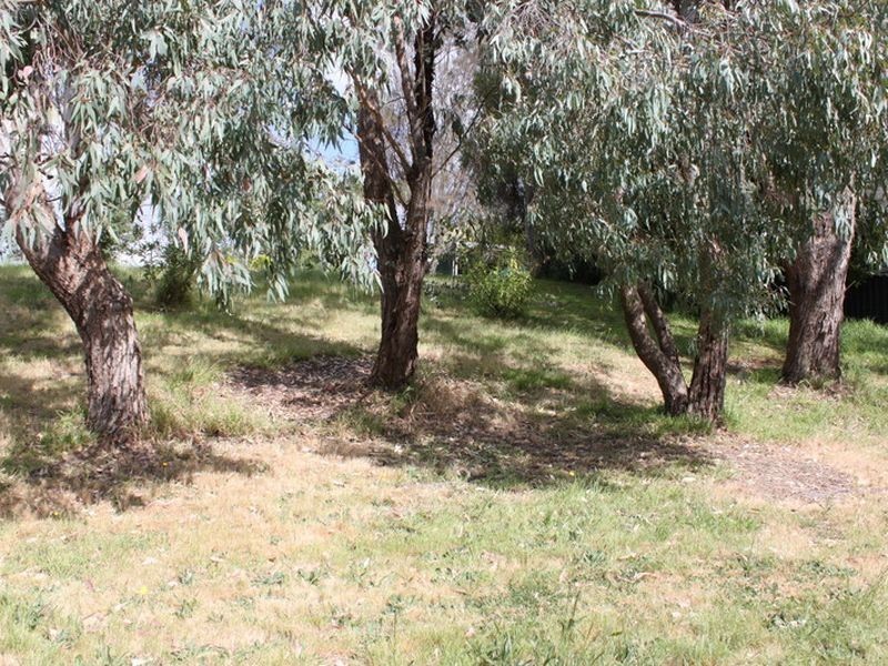 6 Green Street, Alexandra VIC 3714