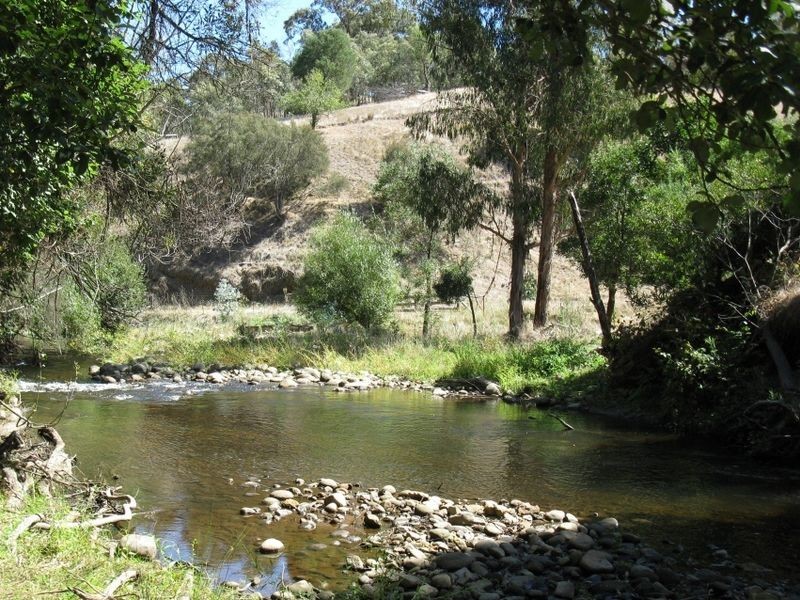 111 Rubicon Road, Rubicon VIC 3712