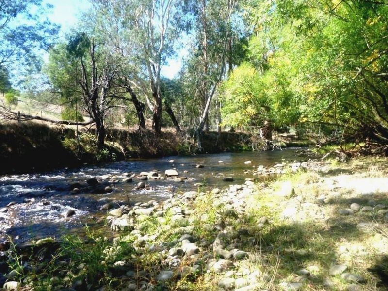 111 Rubicon Road, Rubicon VIC 3712