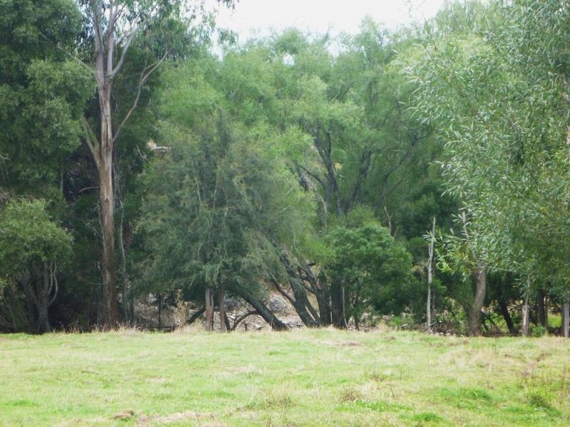 111 Rubicon Road, Rubicon VIC 3712