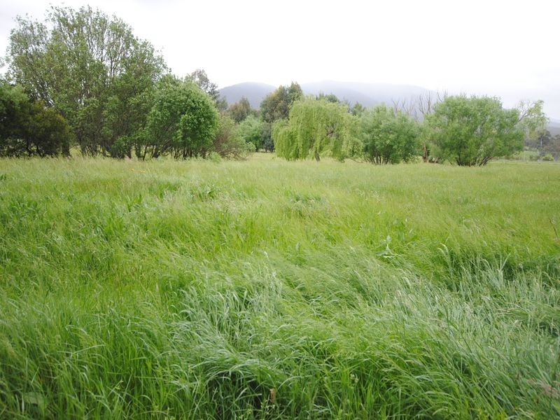 111 Rubicon Road, Rubicon VIC 3712