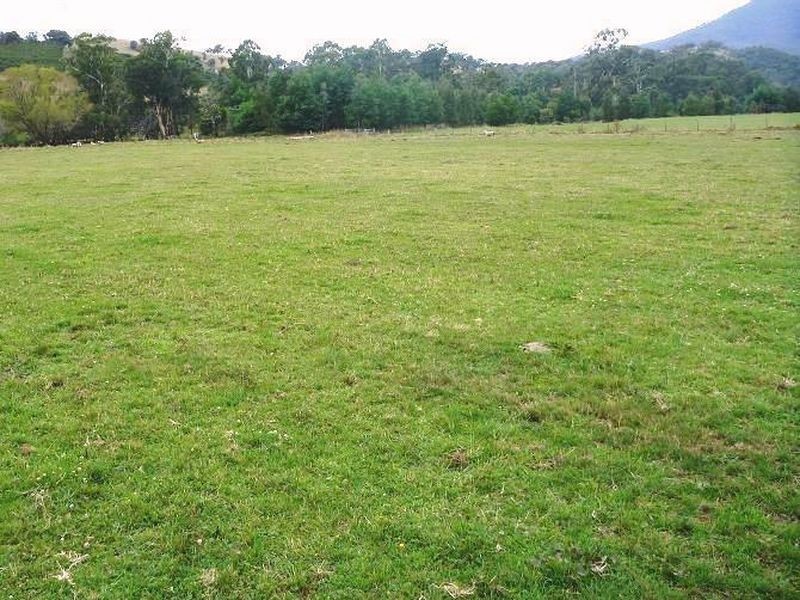 111 Rubicon Road, Rubicon VIC 3712