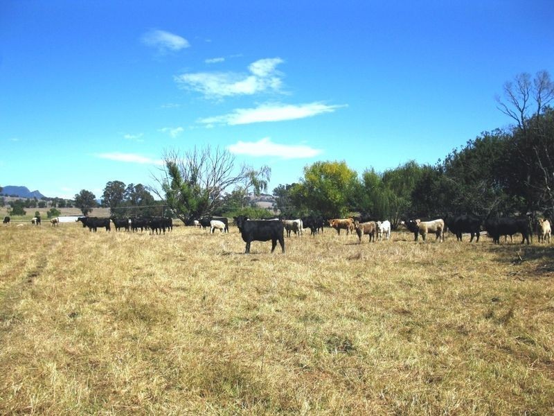 111 Rubicon Road, Rubicon VIC 3712