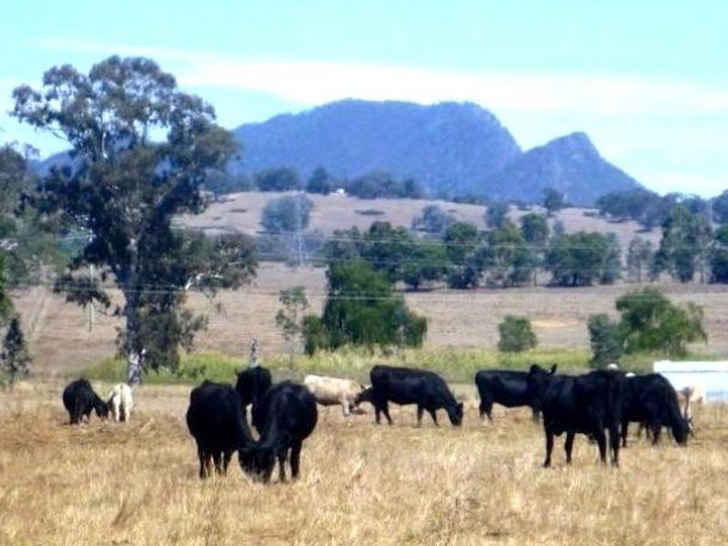 111 Rubicon Road, Rubicon VIC 3712