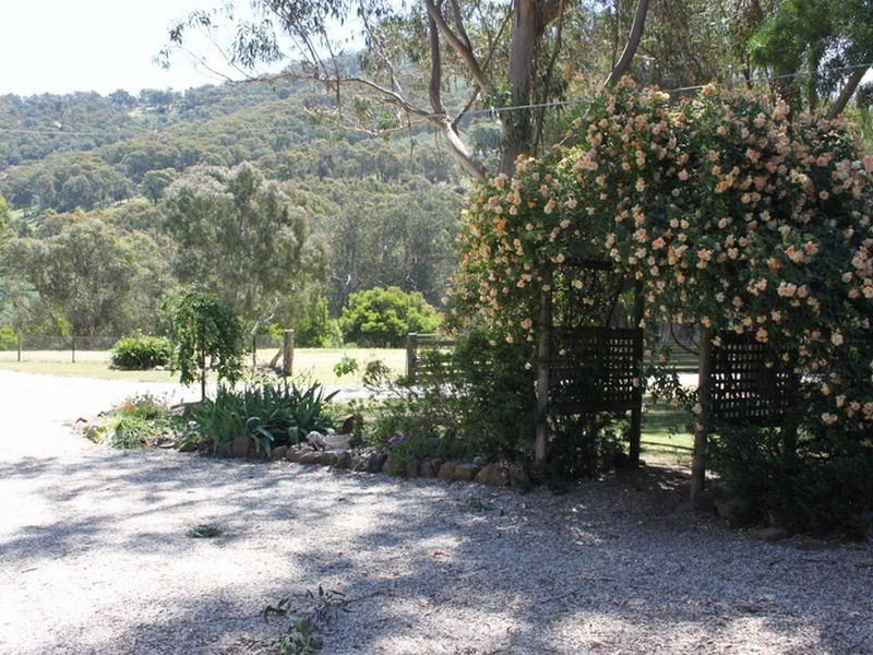 894 Maintongoon Road, Alexandra VIC 3714