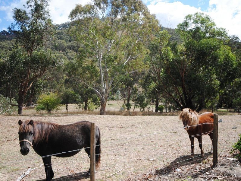 894 Maintongoon Road, Alexandra VIC 3714